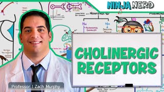 Neurology  Cholinergic Receptors [upl. by Powder941]