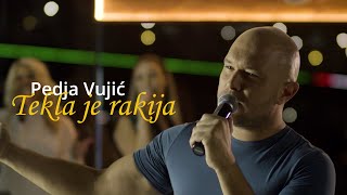 Pedja Vujic  Tekla je rakija  Bekrija Cover 2021 [upl. by Konstantine]