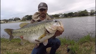 TOP 3 HUGE LARGEMOUTH BASS CAUGHT ON CAMERA compilation [upl. by Enyrb883]