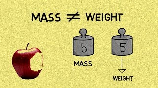 The Difference Between Mass amp Weight [upl. by Ynohtna728]