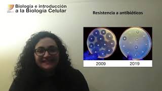 20 Biología celular Mecanismos de resistencia a antibióticos [upl. by Katrinka]