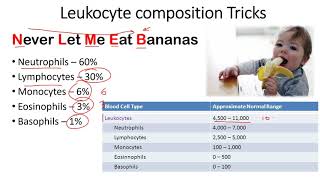 Leukocyte composition tricks to remember [upl. by Nali]