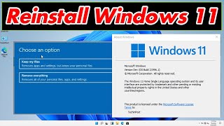 GUIDE How to Reinstall Windows 11 Very Easily amp Quickly Download [upl. by Annim]