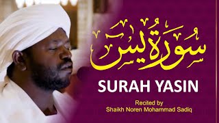 Surah Yaseen سورة يس II Urdu Translation amp Roman Urdu II Shaikh Noren Mohammad Sadiq [upl. by Player]