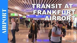 TRANSIT WALK AT FRANKFURT Airport FRA Terminal 1  Connection Flight Transfer Arriving amp Departing [upl. by Rednael]