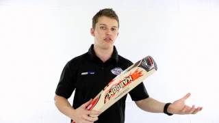 Cricket Bat Sweetspots Explained [upl. by Mallen]