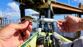 Topwater and Jigging  Tidal River Fishing Florida for Snook Drum and Jack Crevalle [upl. by Arbma]