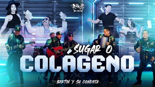 Sugar o Colágeno · Bertín y Su Condesa [upl. by Bunny633]